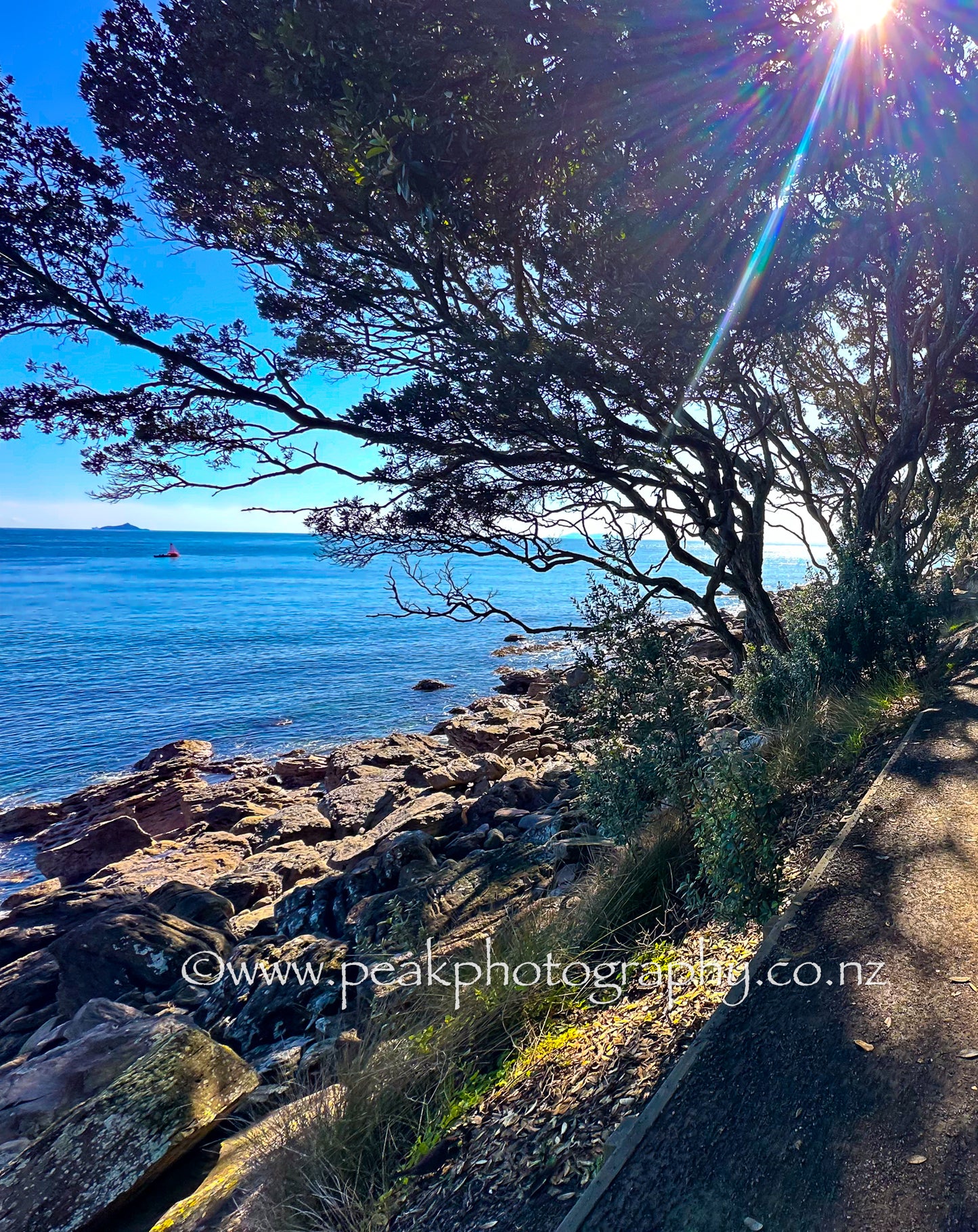 Mount Maunganui Base Track - Choose your size