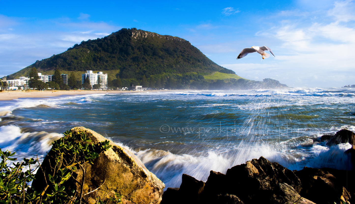 Mount Maunganui - Main Beach