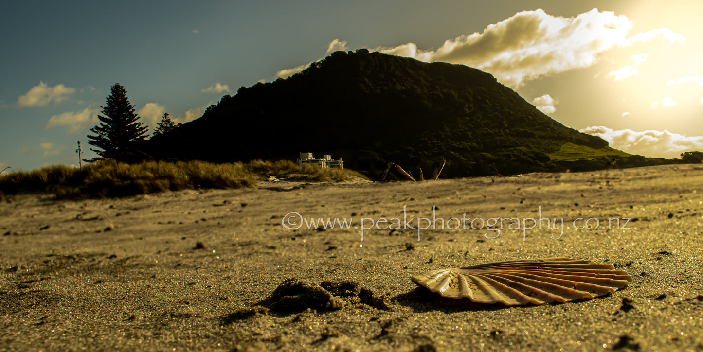 Mount Maunganui - Winters Day
