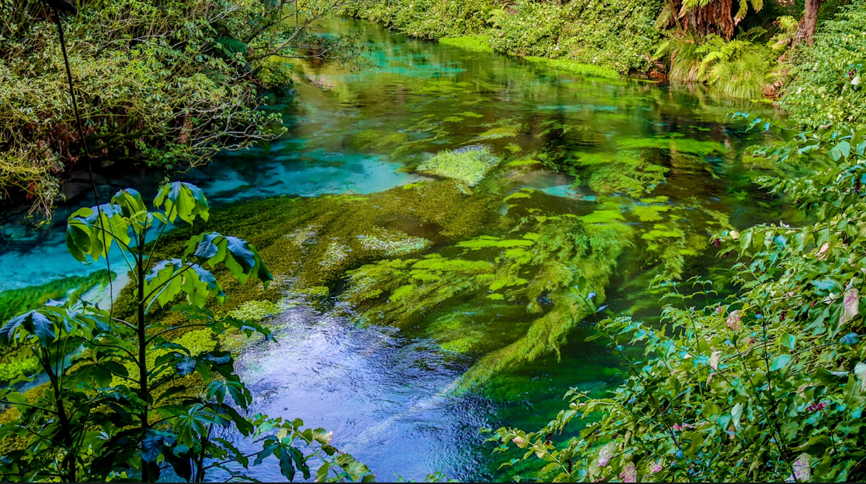 Blue Springs Canvas #3 - Putararu - New Zealand - Choose your size