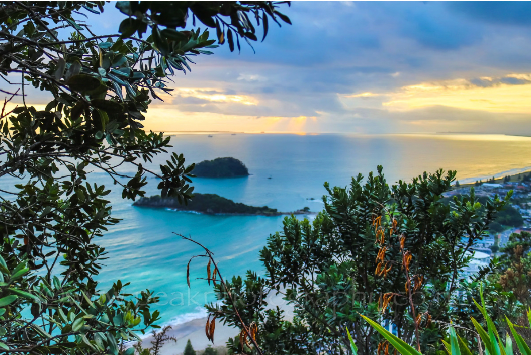 Leisure Island/Moturiki Sunrise Canvas - Choose your size