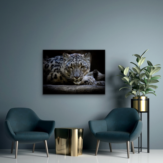 Snow Leopard Canvas - Choose your size