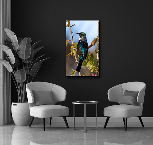 Tui Canvas - Choose your size